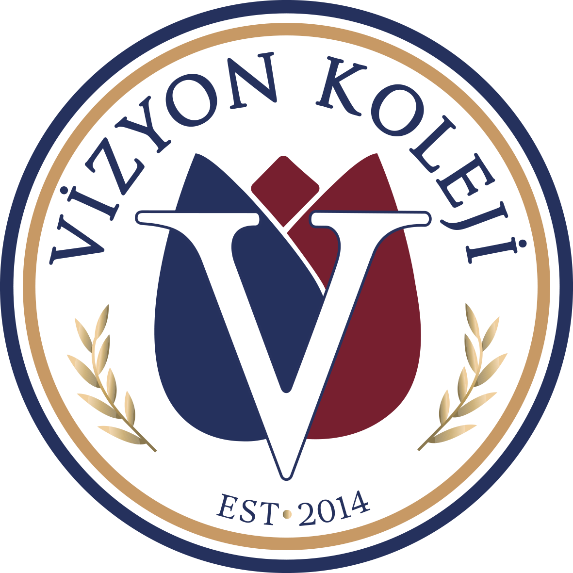 Vizyon Koleji